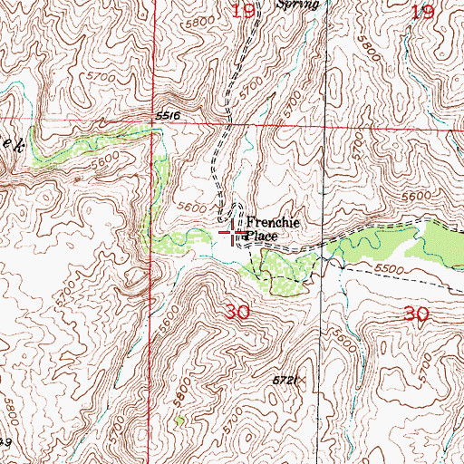 Topographic Map of Frenchie Place, MT