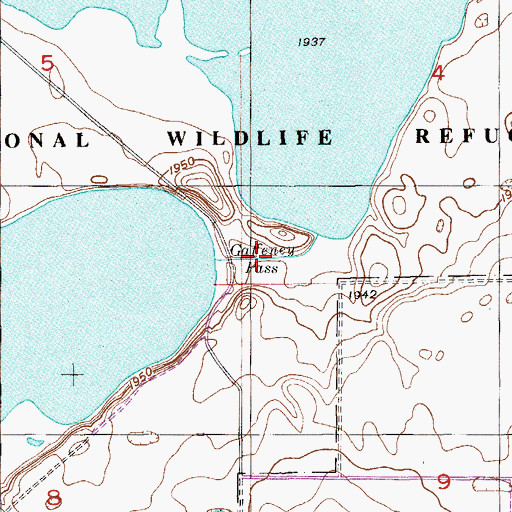 Topographic Map of Gaffeney Pass, MT