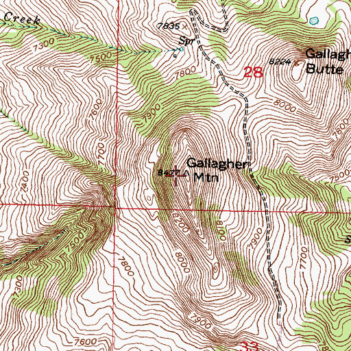 Topographic Map of Gallagher Mountain, MT