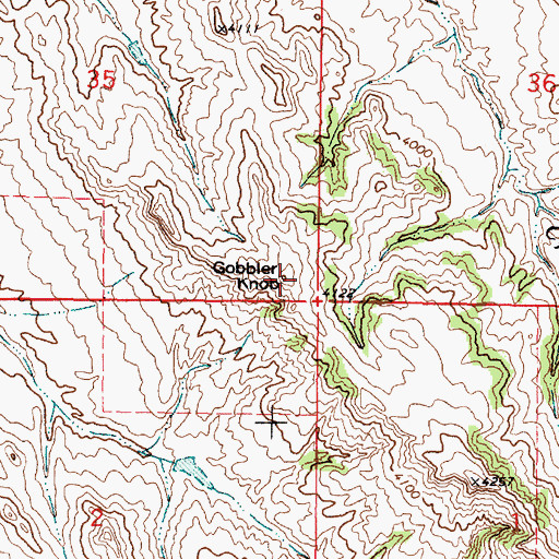 Topographic Map of Gobbler Knob, MT