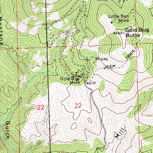 Topographic Map of Gold Bug Mine, MT