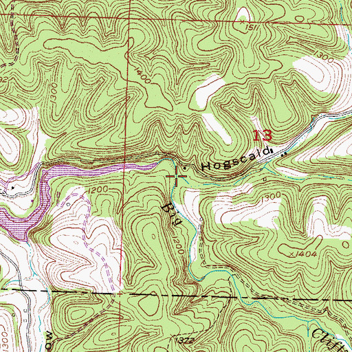 Topographic Map of Hogscald Hollow, AR