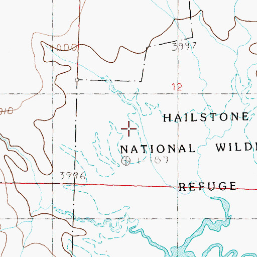 Topographic Map of Hailstone Basin, MT
