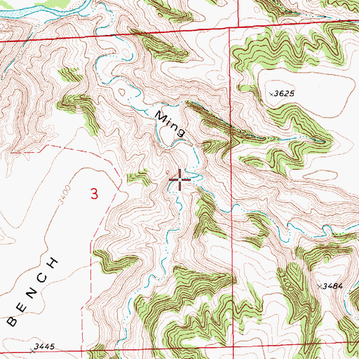 Topographic Map of Hamilton Coulee, MT