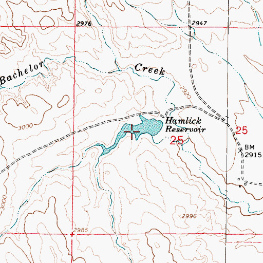 Topographic Map of Hamlick Reservoir, MT