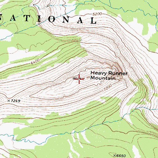 Topographic Map of Heavy Runner Mountain, MT