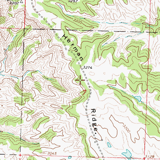 Topographic Map of Herman Ridge, MT