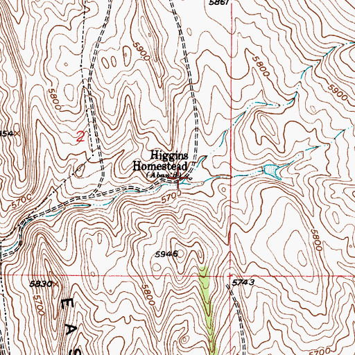 Topographic Map of Higgins Homestead, MT