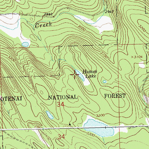 Topographic Map of Homes Lake, MT