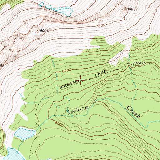 Topographic Map of Iceberg Lake Trail, MT