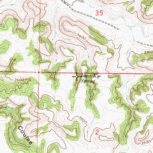 Topographic Map of Isaac Kye Spring, MT