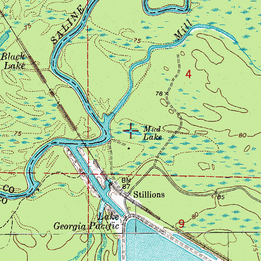 Topographic Map of Mud Lake, AR