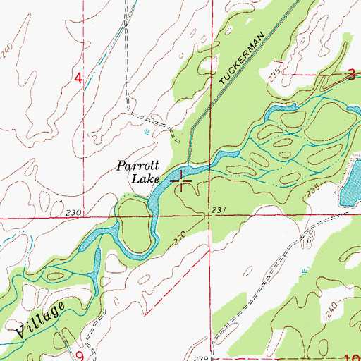 Topographic Map of Parrott Lake, AR