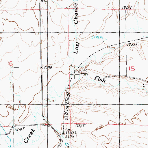 Topographic Map of Last Chance Creek, MT