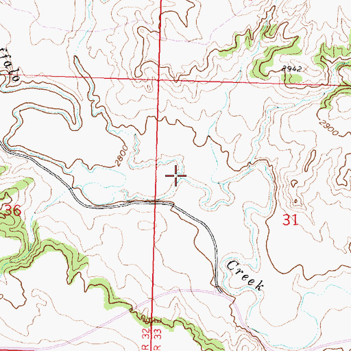 Topographic Map of Laylan Coulee, MT