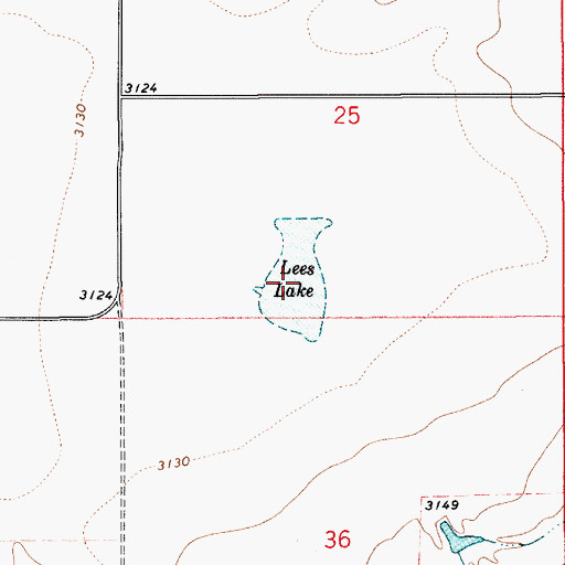 Topographic Map of Lees Lake, MT