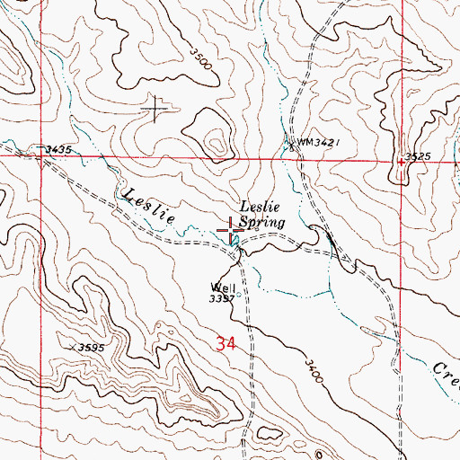 Topographic Map of Leslie Spring, MT