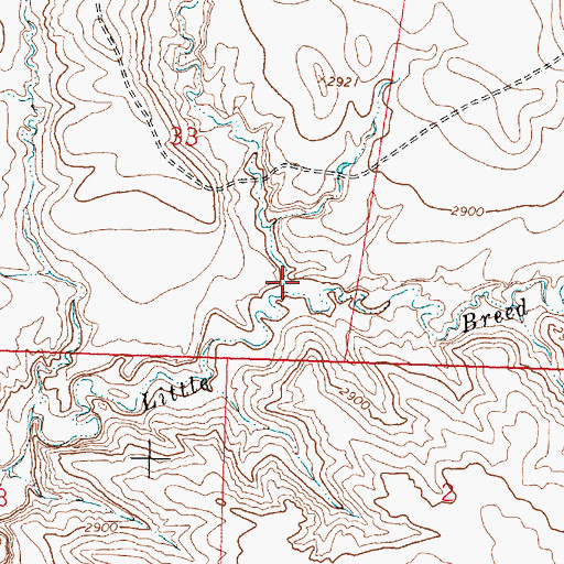 Topographic Map of Light Coulee, MT