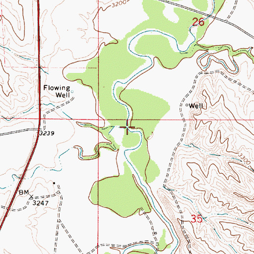 Topographic Map of Little Bear Skull Creek, MT