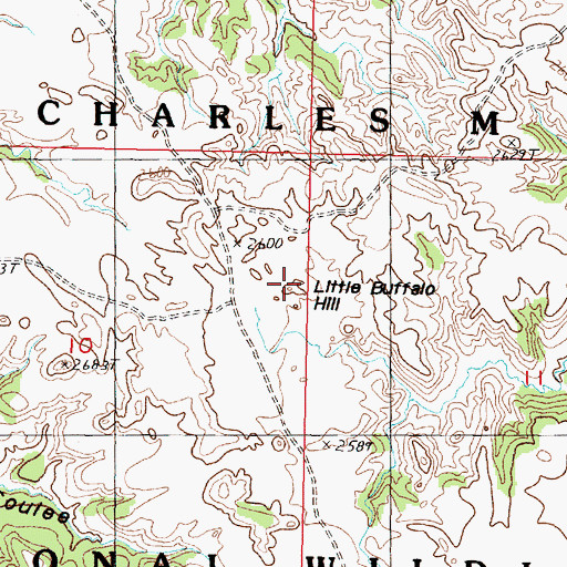 Topographic Map of Little Buffalo Hill, MT