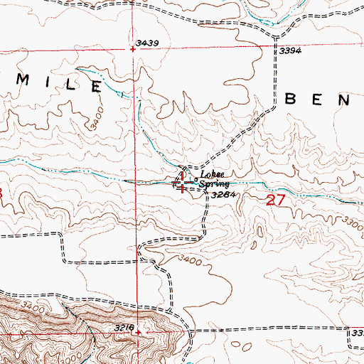 Topographic Map of Lohse Spring, MT