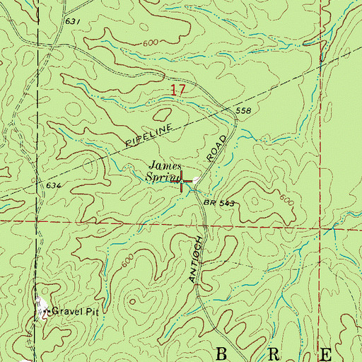 Topographic Map of James Spring, AR