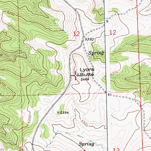 Topographic Map of Lyons Butte, MT