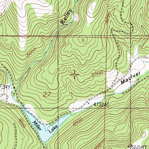 Topographic Map of MacIver Meadow, MT