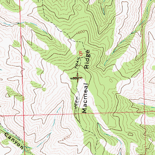 Topographic Map of Macmeal Ridge, MT