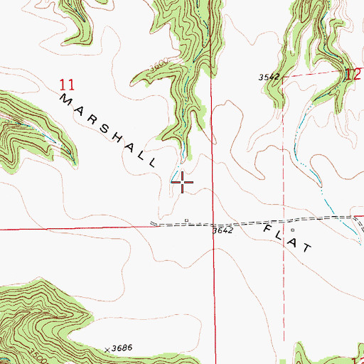 Topographic Map of Marshall Flat, MT