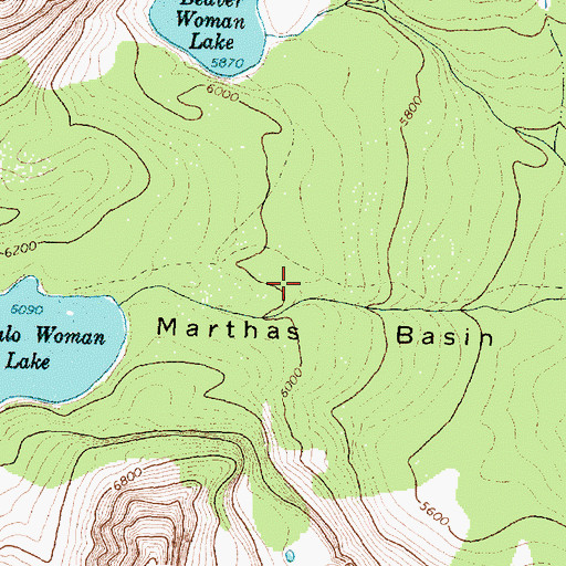 Topographic Map of Marthas Basin, MT