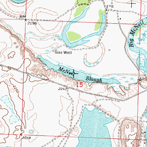 Topographic Map of McNeil Slough, MT