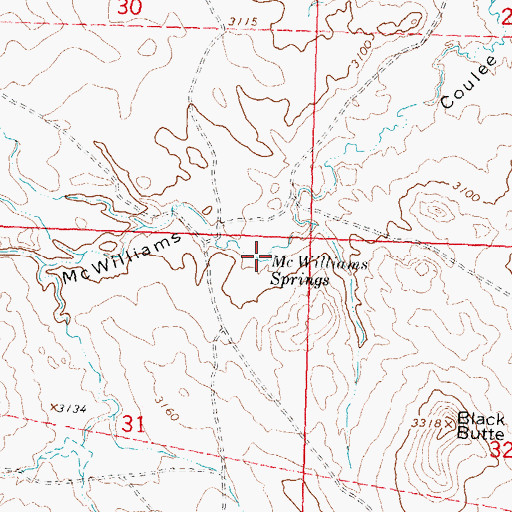 Topographic Map of McWilliams Springs, MT