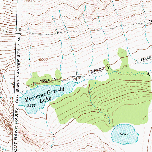 Topographic Map of Medicine Grizzly Trail, MT