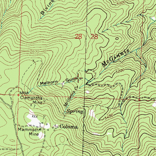 Topographic Map of Melhorn Gulch, MT