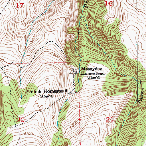 Topographic Map of Mesoydez Homestead, MT