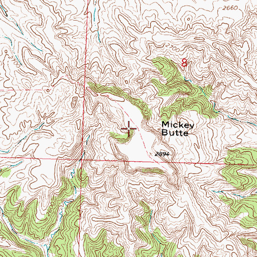 Topographic Map of Mickey Butte, MT
