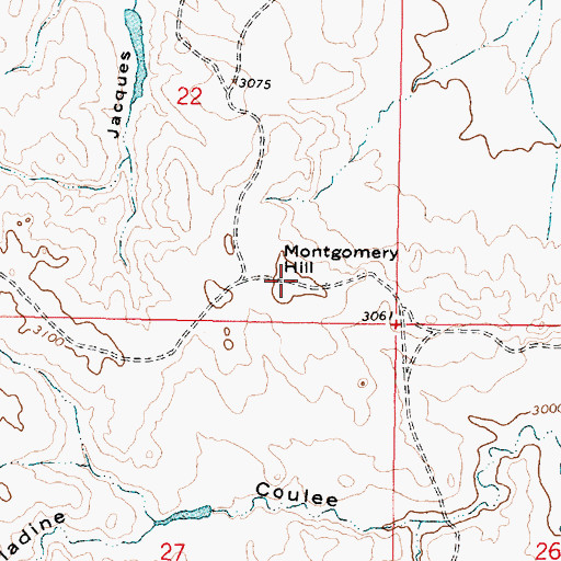 Topographic Map of Montgomery Hill, MT