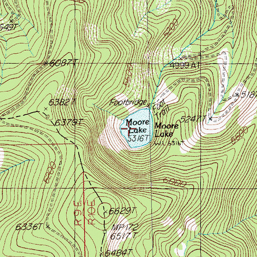 Topographic Map of Moore Lake, MT