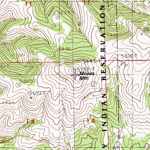Topographic Map of Moses Mountain, MT