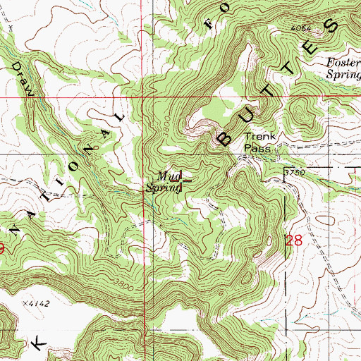 Topographic Map of Mud Spring, MT
