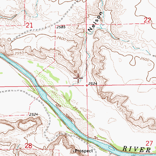 Topographic Map of Nelson Coulee, MT