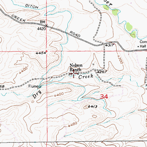 Topographic Map of Nelson Ranch, MT