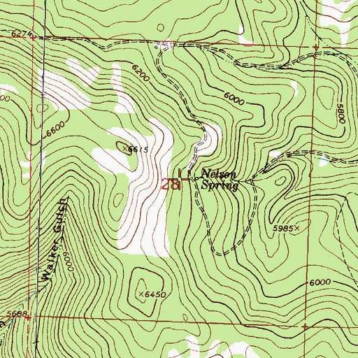 Topographic Map of Nelson Spring, MT