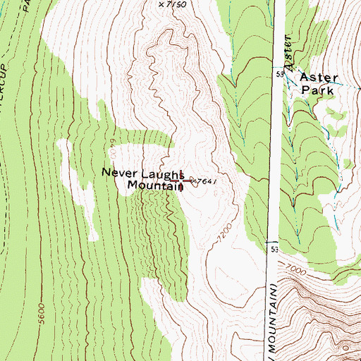 Topographic Map of Never Laughs Mountain, MT