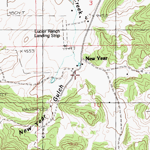 Topographic Map of New Year Gulch, MT