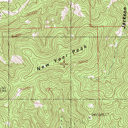 Topographic Map of New Year Peak, MT