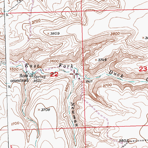 Topographic Map of Newman Creek, MT