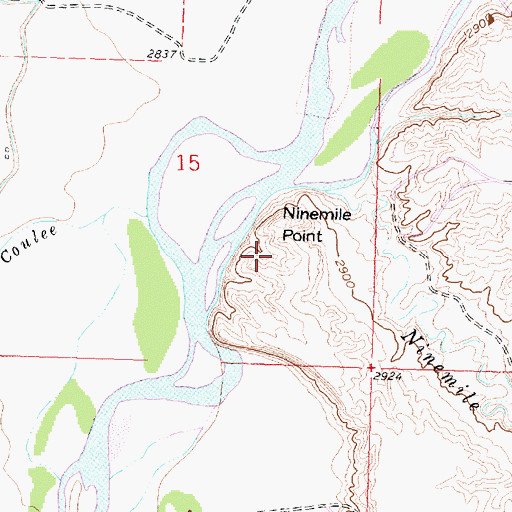 Topographic Map of Ninemile Point, MT