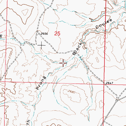 Topographic Map of North Prong Black Coulee, MT